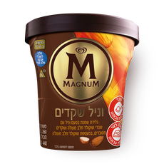 Magnum Almonds Vanilla Ice Cream