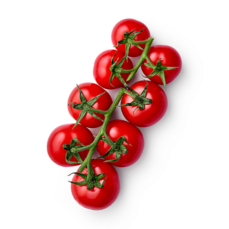 Помидоры красные на ветке