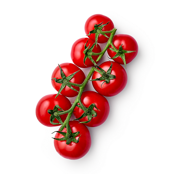 Помидоры красные на ветке