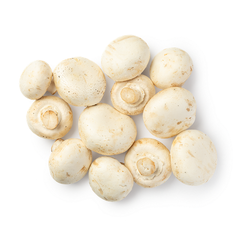 Грибы шампиньоны