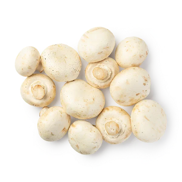 Грибы шампиньоны