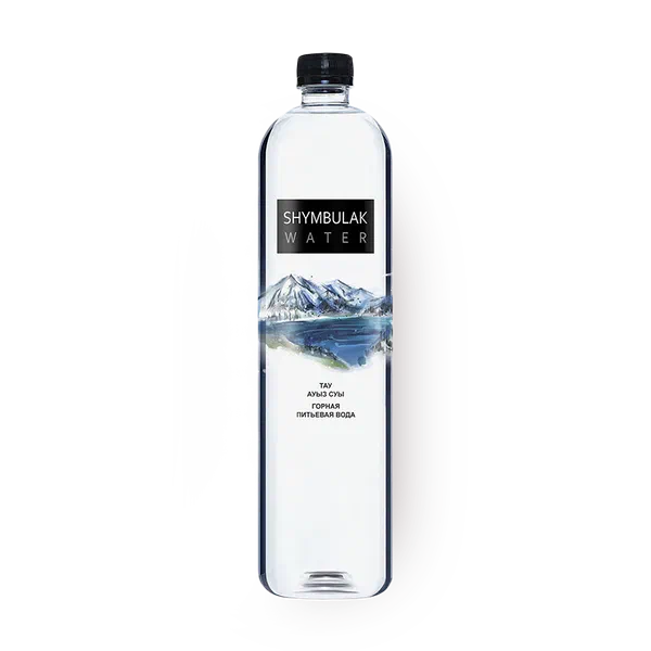 Вода негазированная Shymbulak