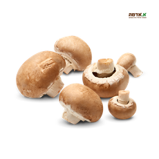 Portobello mushrooms-packed