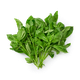 Базилик зелёный