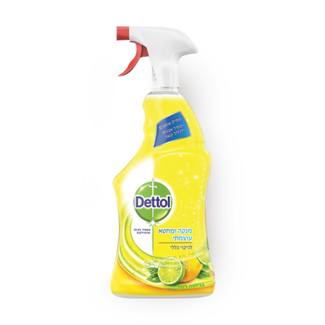 Dettol for general cleaning