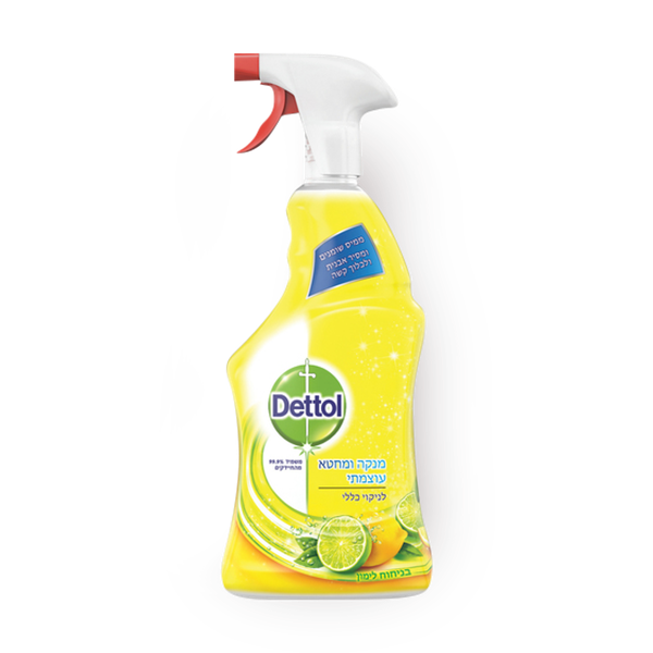 Dettol for general cleaning