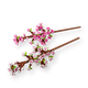 Конструктор Lego Juniors Cherry Blossoms 40725