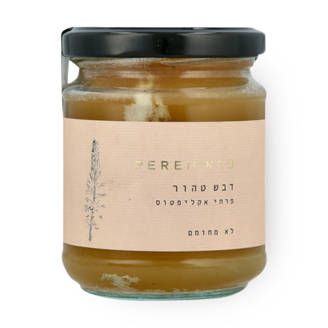 Pure Eucalyptus flower honey unheated