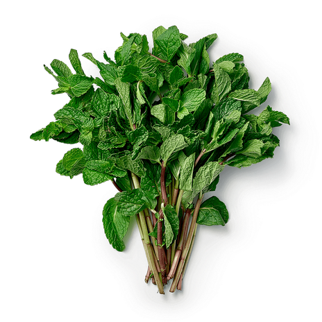 Мята свежая Novagreen