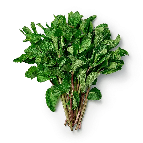 Мята свежая Novagreen