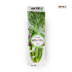 Celery leaves - Packed