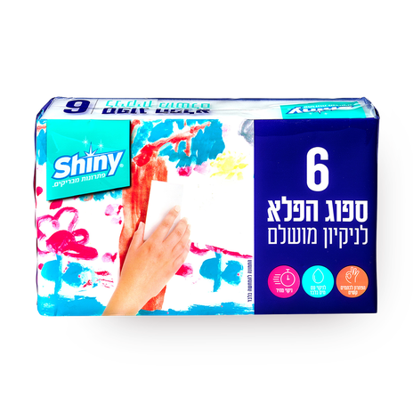 6 ספוגי הפלא שייני