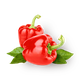 Перец болгарский красный Every Day Fresh