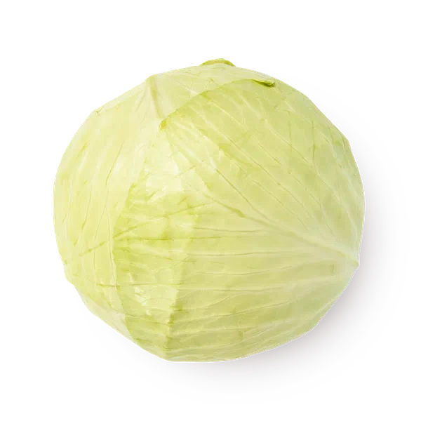 Капуста белокочанная свежая Every Day Fresh