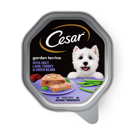 Canned dog Caesar Lamb Turkey & Green Beans