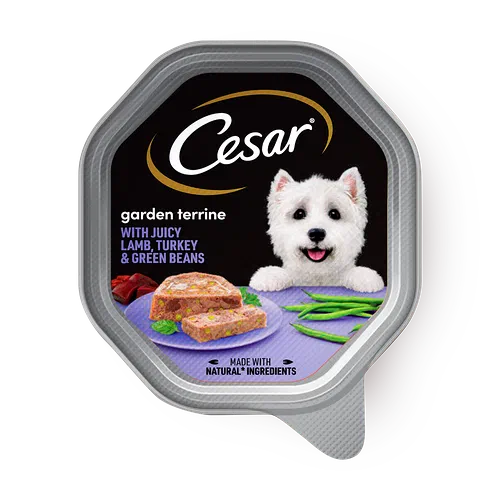 Dog on cesar dog hotsell food can