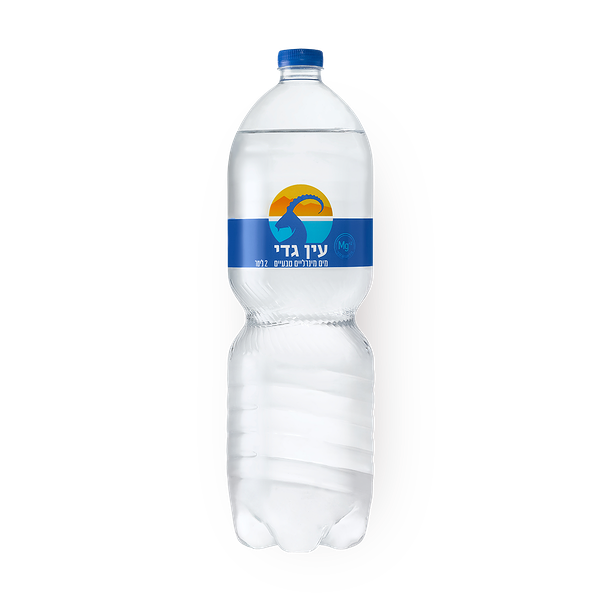 Ein Gedi Mineral water