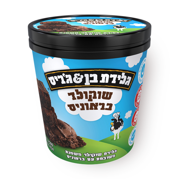 Ben&Jerry's chocolate Fudge brownies Ice cream pint