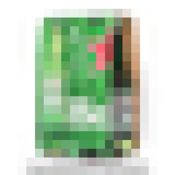 Heineken Beer Pack