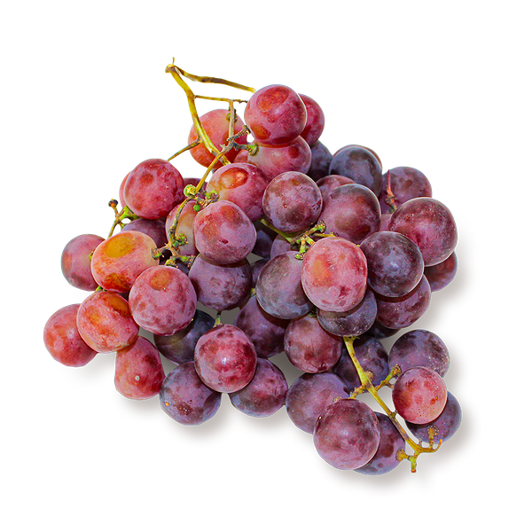 Виноград бычий глаз