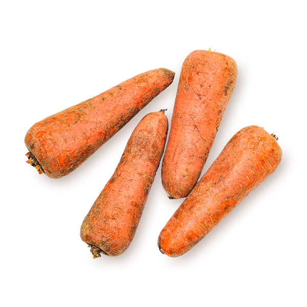 Морковь свежая