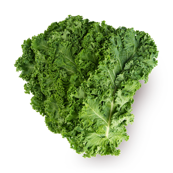 Кейл Novagreen