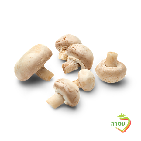 Champignon mushrooms, packed