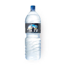 Ein Gedi Mineral water