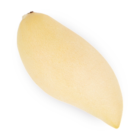 Манго Everyday Fresh