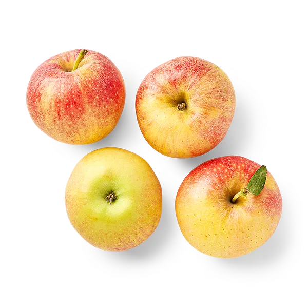 Яблоко Гала Казахстан