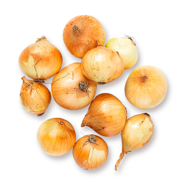 Лук репчатый «Из Лавки»