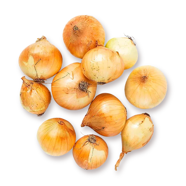 Лук репчатый «Из Лавки»