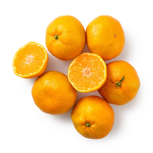 Мандарин Муркот