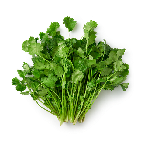 Кинза EveryDay Fresh