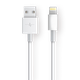 Lightning Cable