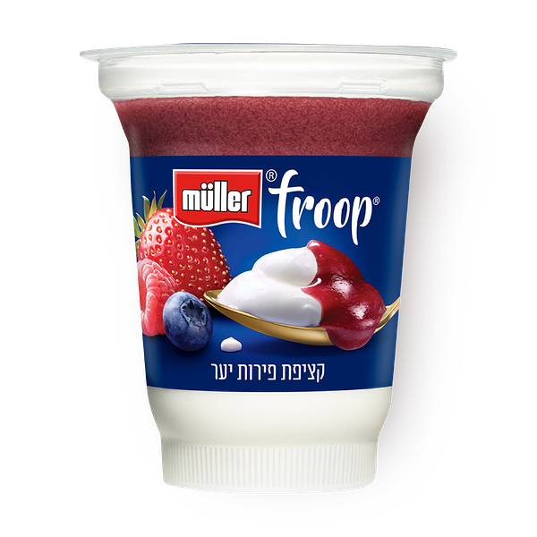 Muller Froop Wildberries yogurt 3%