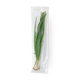 Лук зелёный Novagreen