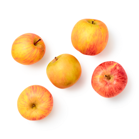 Яблоки Салтанат Everyday Fresh