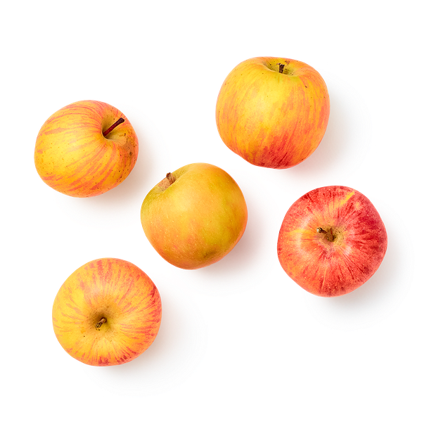 Яблоки Салтанат Everyday Fresh