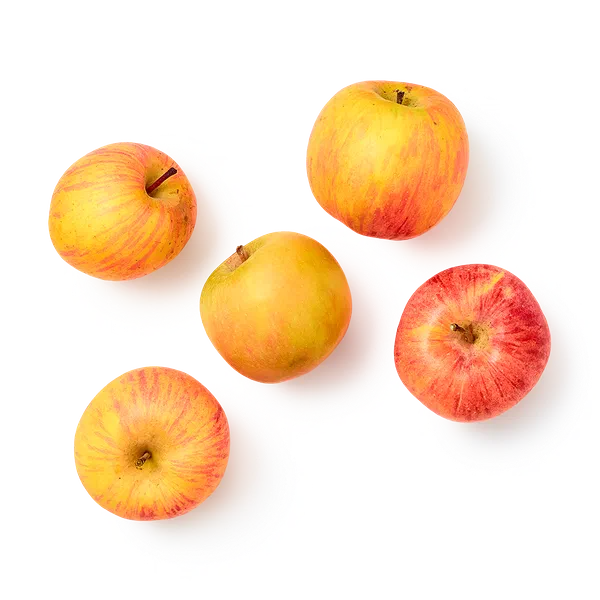 Яблоки Салтанат Everyday Fresh