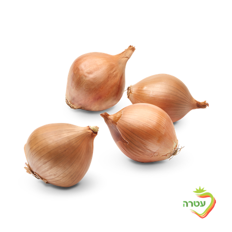 Onion pack