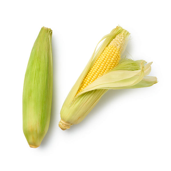 Кукуруза свежая