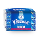 Kleenex Dry wipes for everyday use