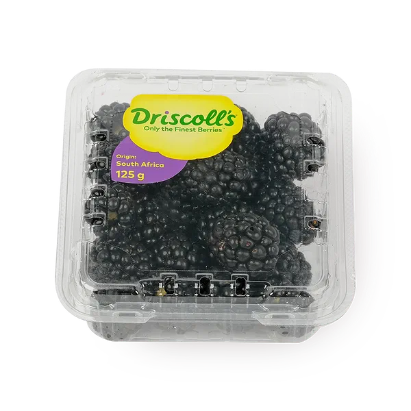 Ежевика Driscoll's