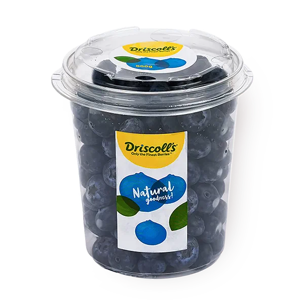 Голубика Driscoll's
