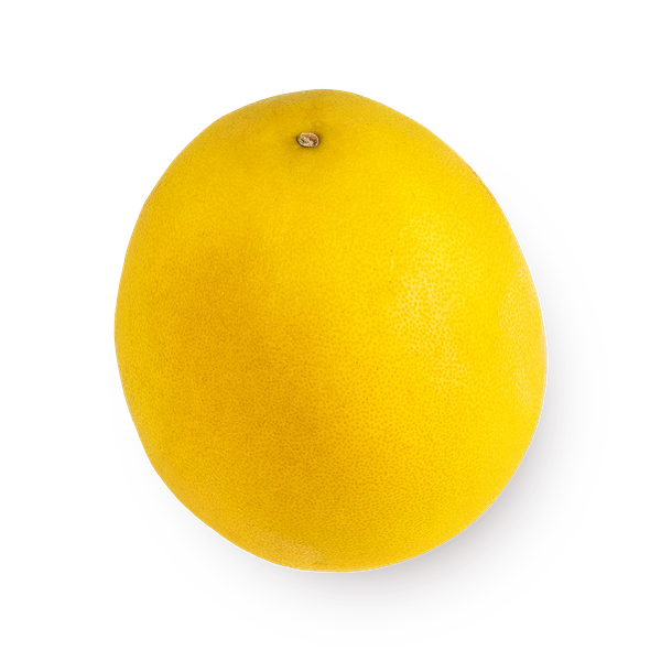 Помело