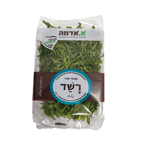 רשד מארז