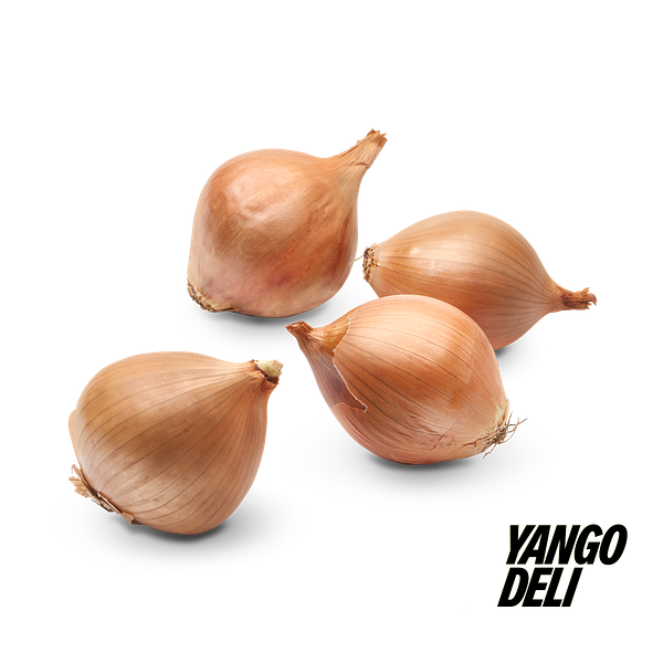 בצל יבש