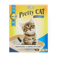 Sand Pretty Cat