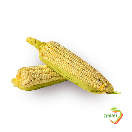 Packaged White Corn